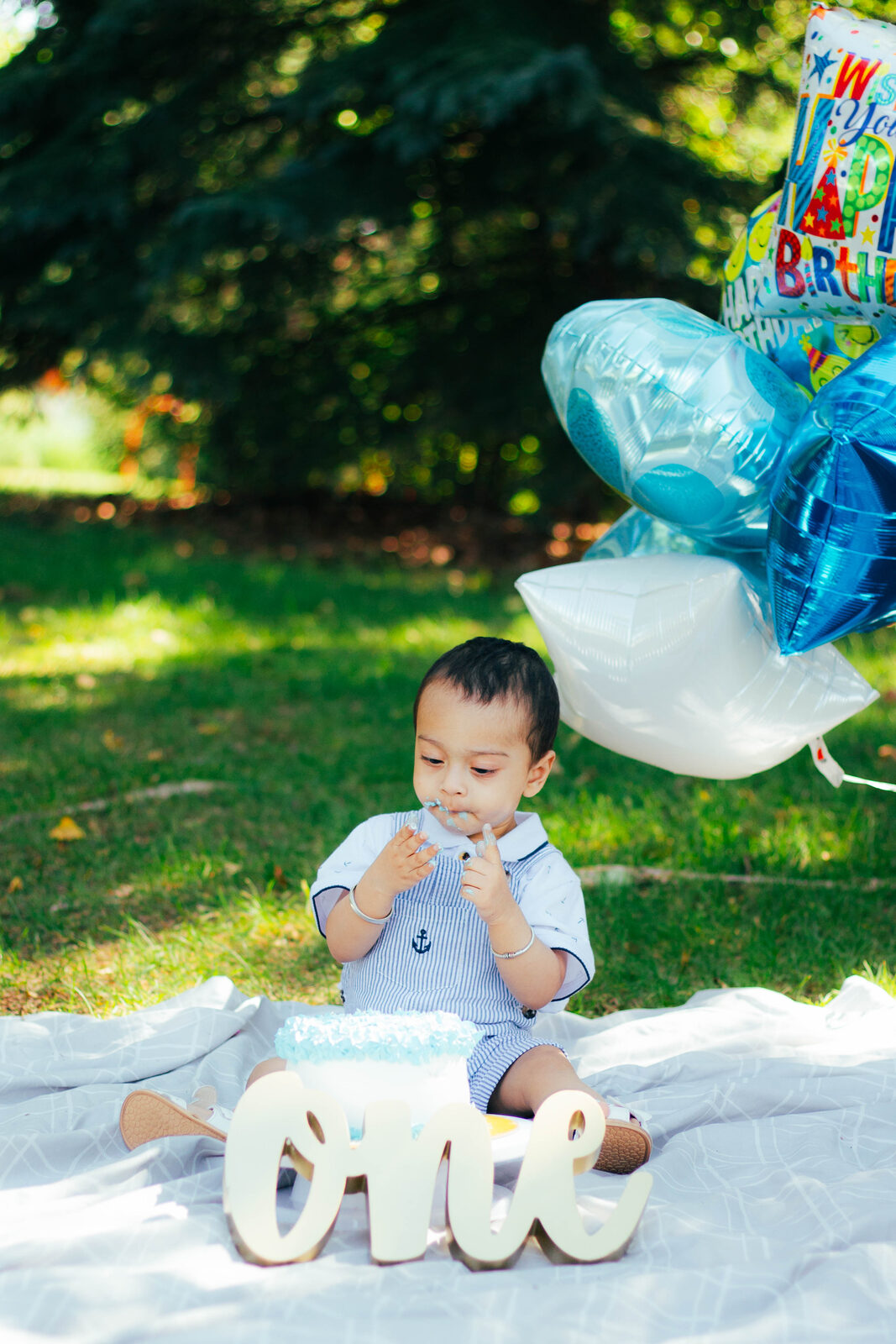 Cake smash session photo 2